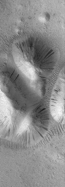 Dozens of dark slope streaks, created by dry avalanches of dust, extend from toward the base of dust-covered buttes. Large, dust-covered, windblown ripples surround the group and occupy some of the low-lying areas between individual buttes