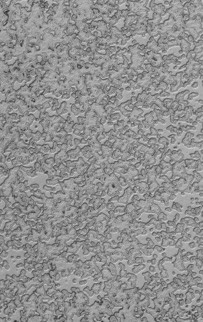 This MOC image shows a portion of the south polar residual cap; darkened edges of the pits and mesas are evidence of the removal, by sublimation, of frozen carbon dioxide during the recent martian summer
