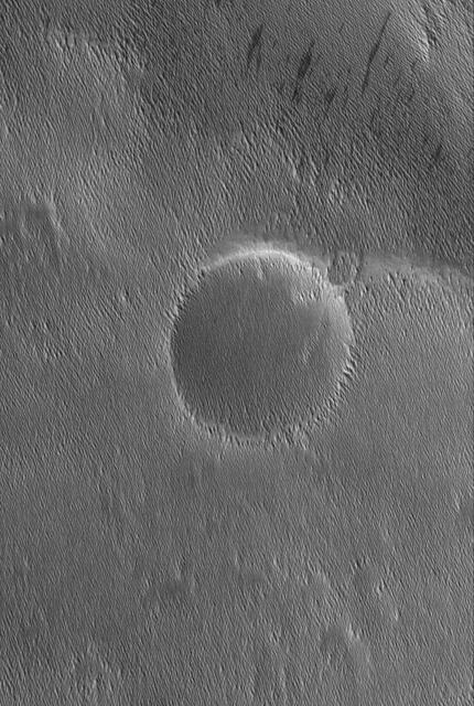 This MOC image shows small ridges in the Memnonia region of Mars. The ridges or yardangs, as they are called, are formed by wind erosion
