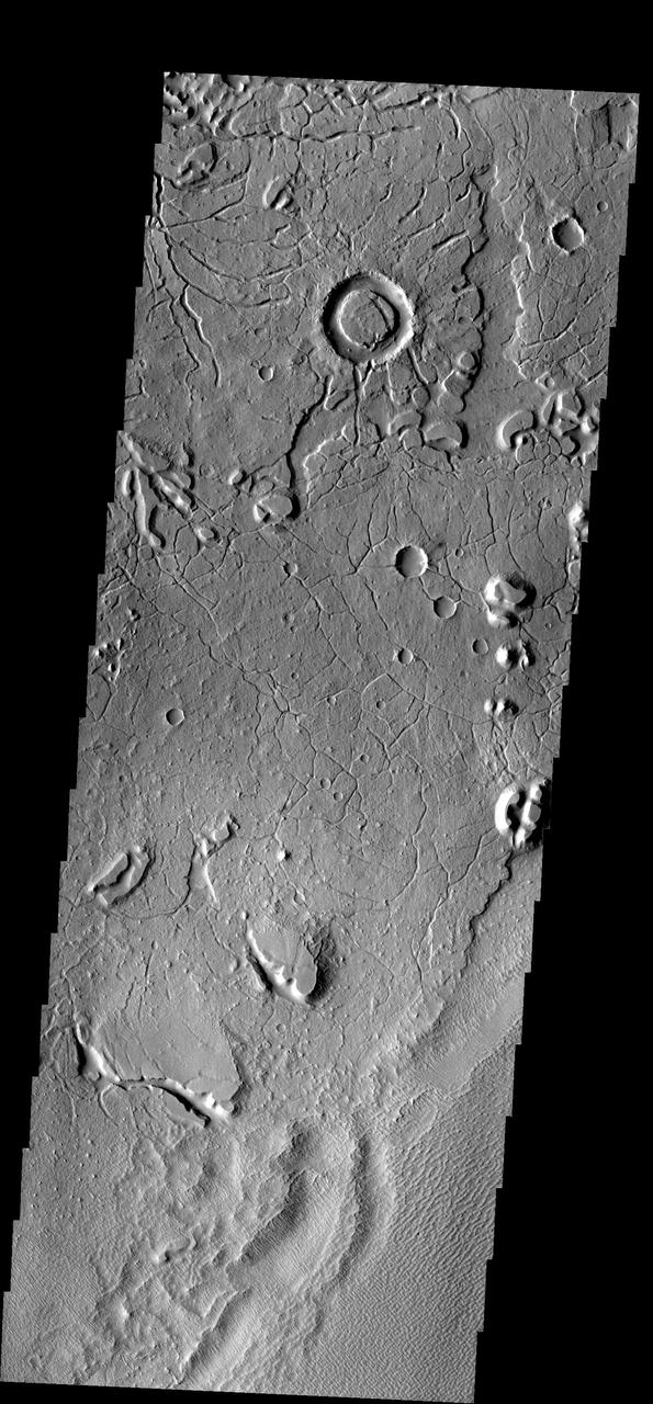 These arcuate fractures are located on the margin between Memnonia Fossae  and Elysium Planitia