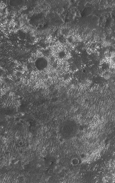 This MOC image shows a variety of materials found on the floor of an impact crater northwest of Hellas Planitia