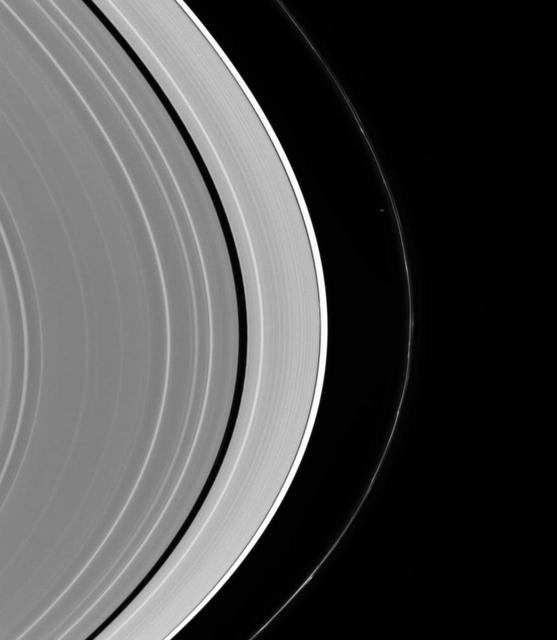 Although difficult to see at first, more than one moon is at work sculpting Saturn rings in this view from the Cassini spacecraft