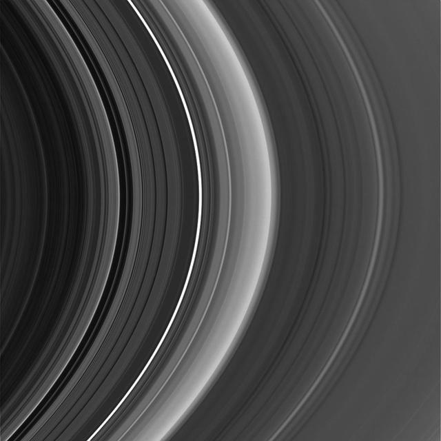 New Rings for Cassini Division