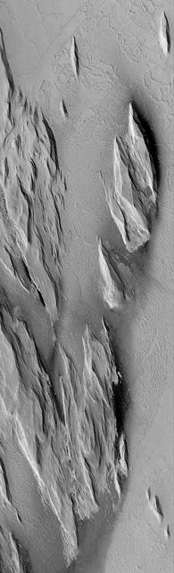 This MOC image shows wind-eroded outcrops overlying lava flow surfaces located west of Olympus Mons. Outcrops with this appearance are called yardangs