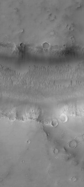 NASA image: Evros Vallis