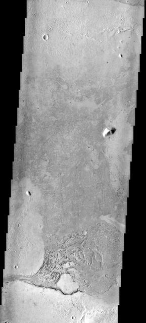 This region of platy lava flows is located in Elysium Planitia. The  channel at the bottom of the image may have been the source of the lava