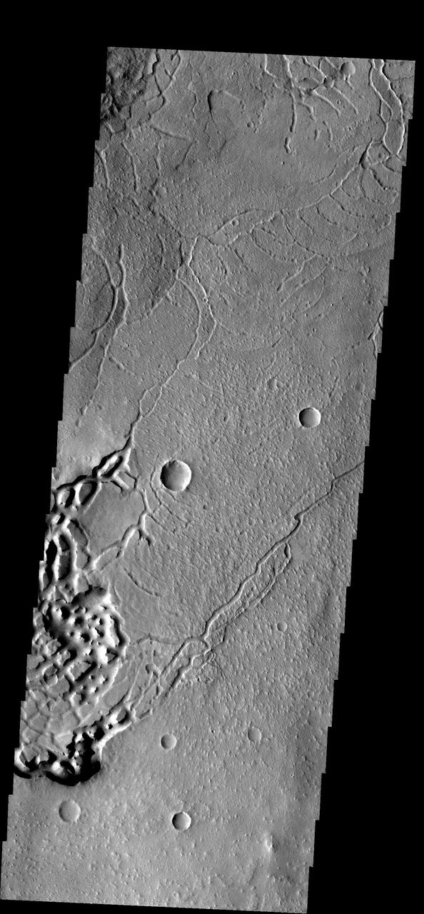 These curved fractures are located on the margin between Memnonia Fossae  and Elysium Planitia