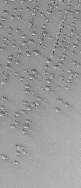 NASA image: Undercover