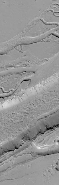 This MOC image shows a wide, flat-floored trough flanked by several smaller, branching troughs in the Olympica Fossae region of Mars. Dark- and intermediate-toned slope streaks -- created by dry avalanches of dust -- occur on the trough walls