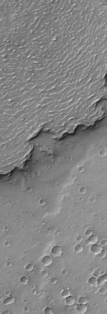 This MOC image shows the sinuous margin of a dust-covered, ridged lava flow in southern Daedalia Planum, Mars