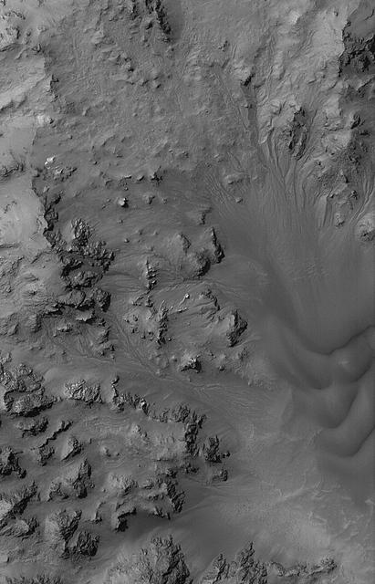 NASA image: All Hail Hale