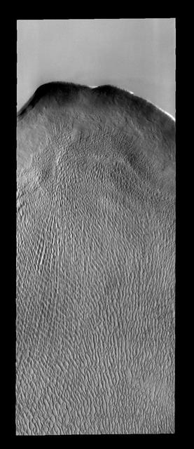 This large dune field is located in a trough of the north polar ice cap