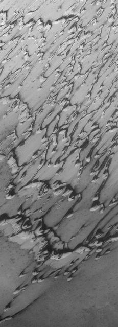 NASA image: Springtime Dunes