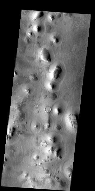 NASA image: Phlegra Montes