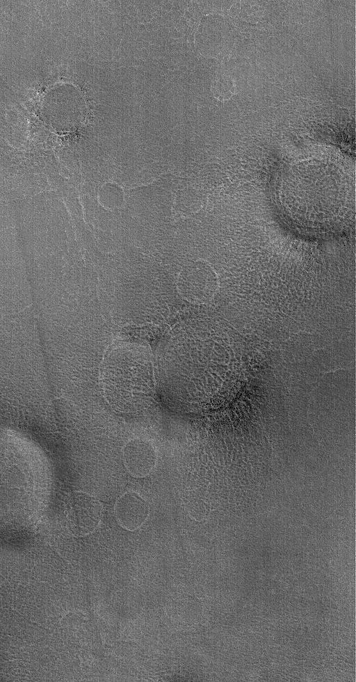This MOC image shows a suite of rings on the martian northern plains. Each ring marks the location of a filled and buried or, in some cases, mostly-filled and nearly-buried impact crater