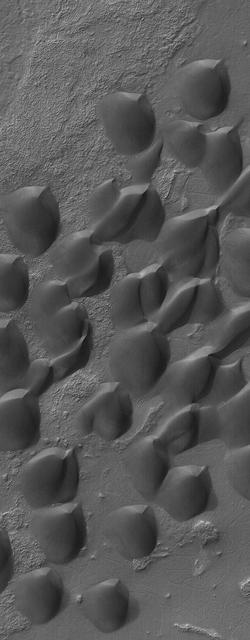 This MOC image shows dark sand dunes, formed by winds blowing from the southwest lower left, in Wirtz Crater. The crater is named for Carl Wilhelm Wirtz , a German astronomer