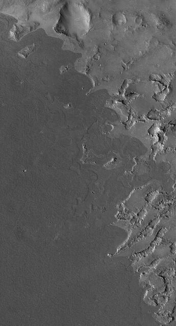 This MOC image shows dark lava flows that have embayed -- flowed up against and into -- higher, more rugged terrain in the Cyclopia/Aethiopis region of Mars southwest of Cerberus