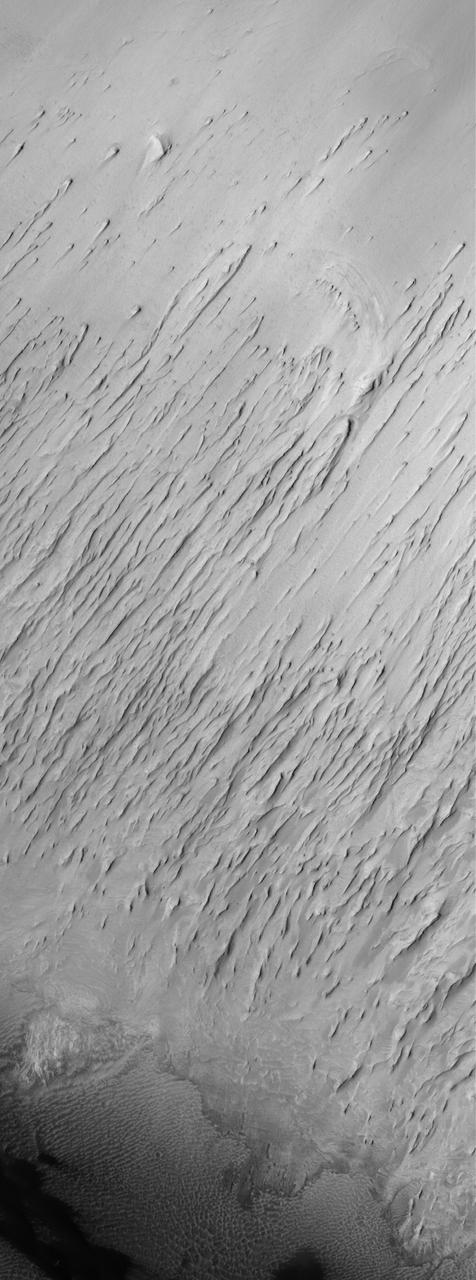 This MOC image shows the contact between a group of yardangs, tapered ridges formed by the removal of relatively easily-eroded material e.g., sedimentary rock and a concentration of dark-toned windblown sand on the floor of a crater in Terra Sabaea