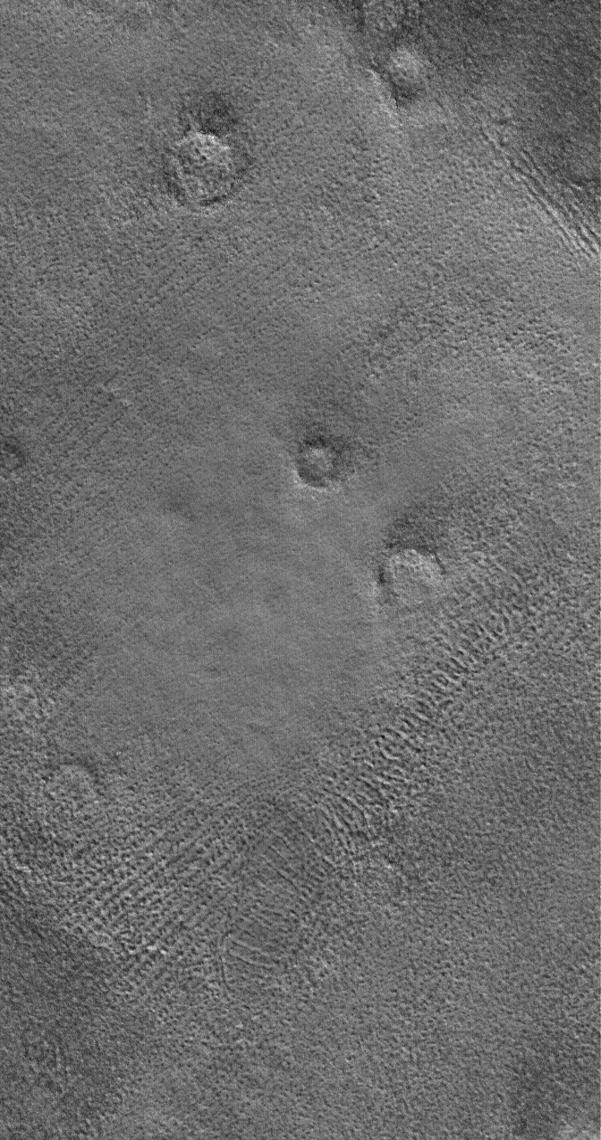 This MOC image shows the patterned ground of the cold, martian northern plains. The circular features are the sites of buried impact craters