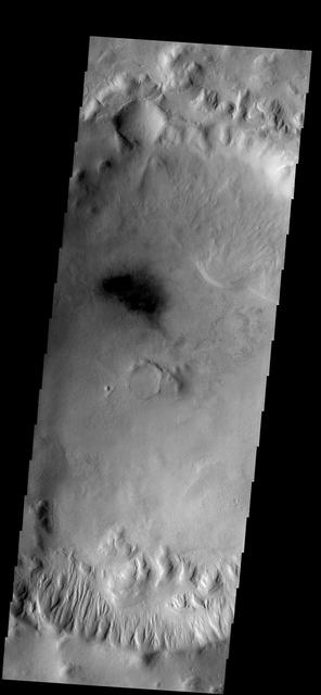 NASA image: Gullies