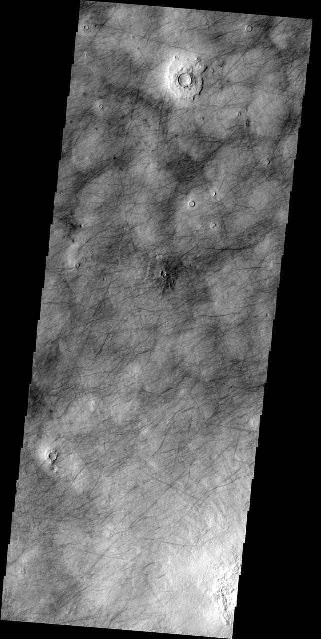This image shows part of Utopia Plainitia. The dark markings are dust devil tracks and possibly fractures