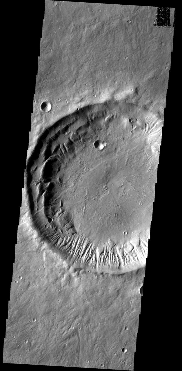 This rim of this unnamed crater in Tempe Terra has been modified by the formation of numerous gullies