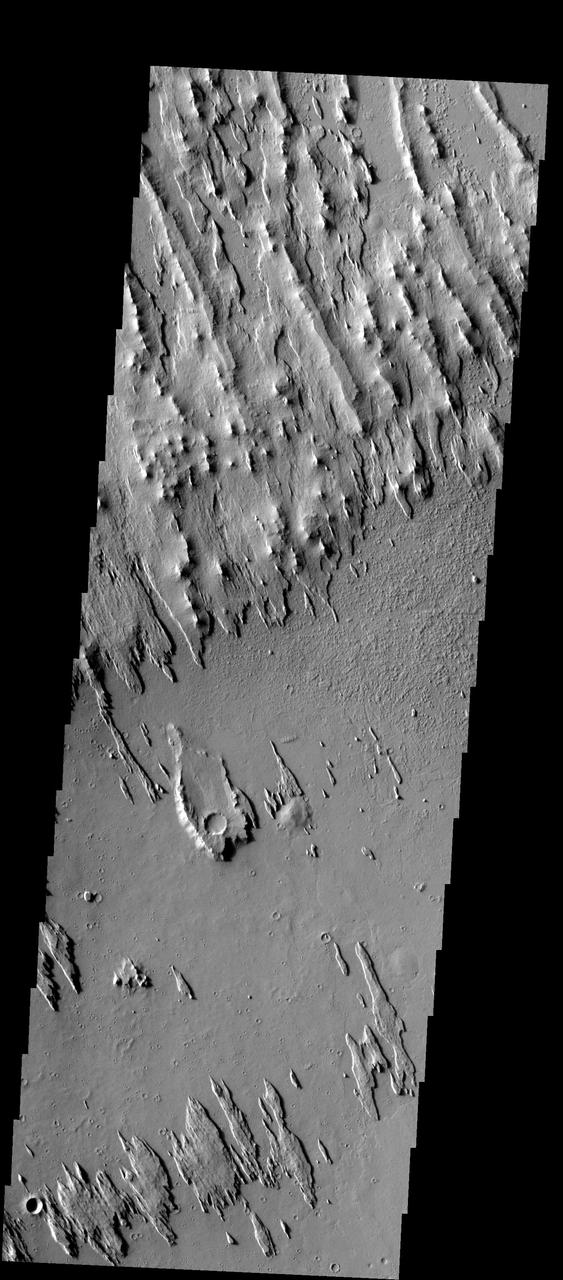 These yardangs - wind eroded ridges - are part of Eumenides Dorsum