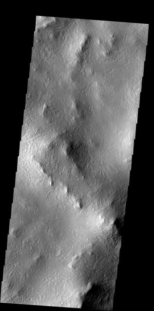 NASA image: Surface Texture