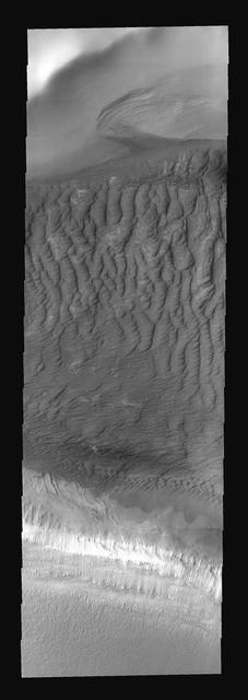 These sand dunes are part of the sand sea that surrounds the south polar cap