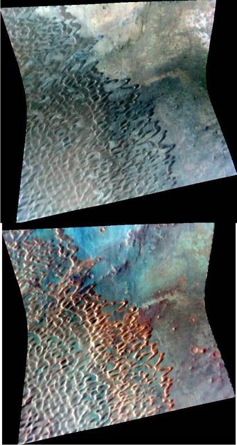 Dune Field in Nili Pateria