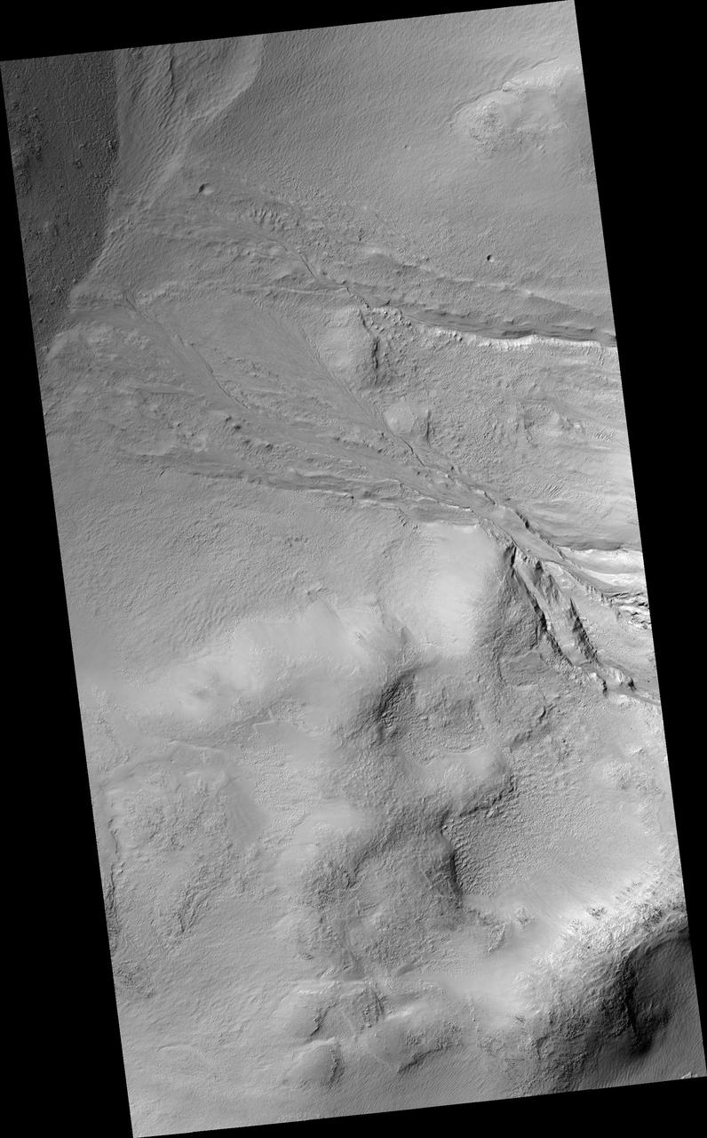 Gullies in Wirtz Crater