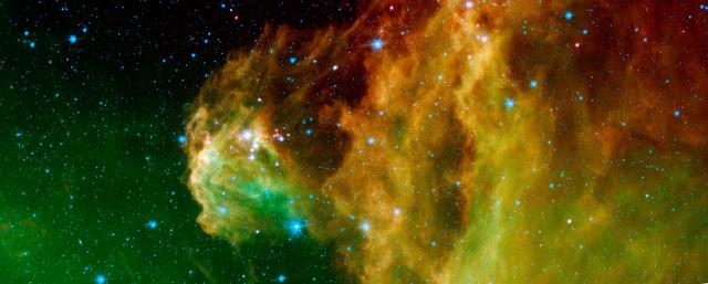 Young Stars Emerge from Orion Head