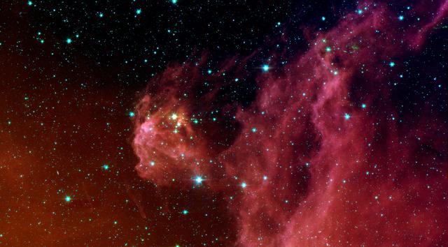 Young Stars Emerge from Orion Head