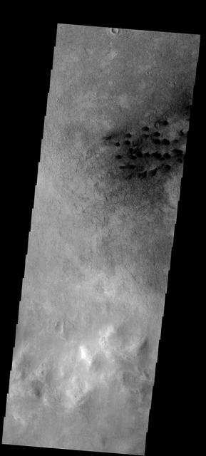 NASA image: Dunes