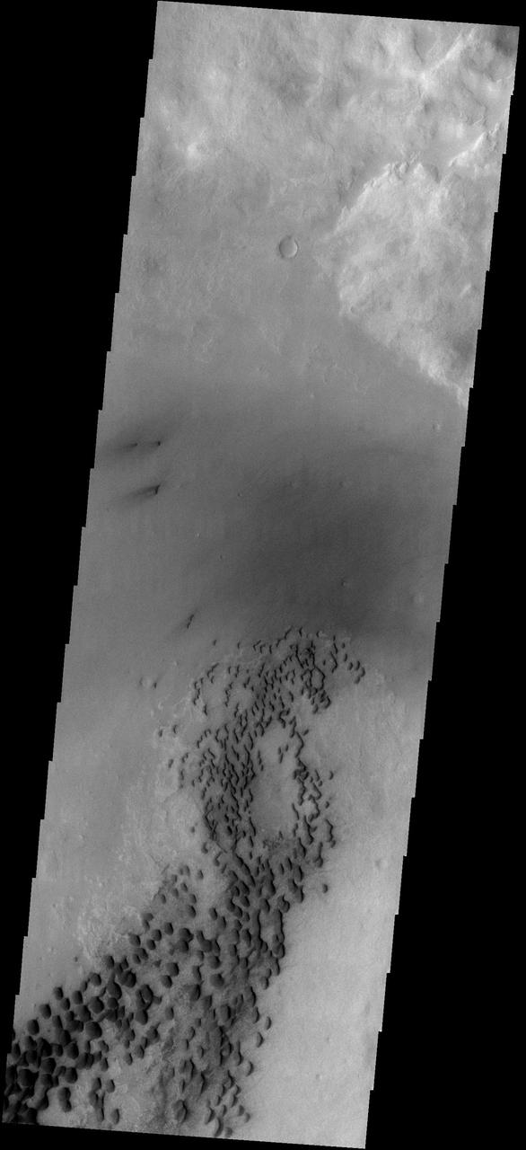Dunes on Wirtz Crater