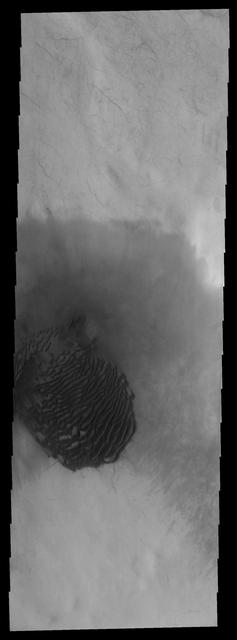 NASA image: Dunes