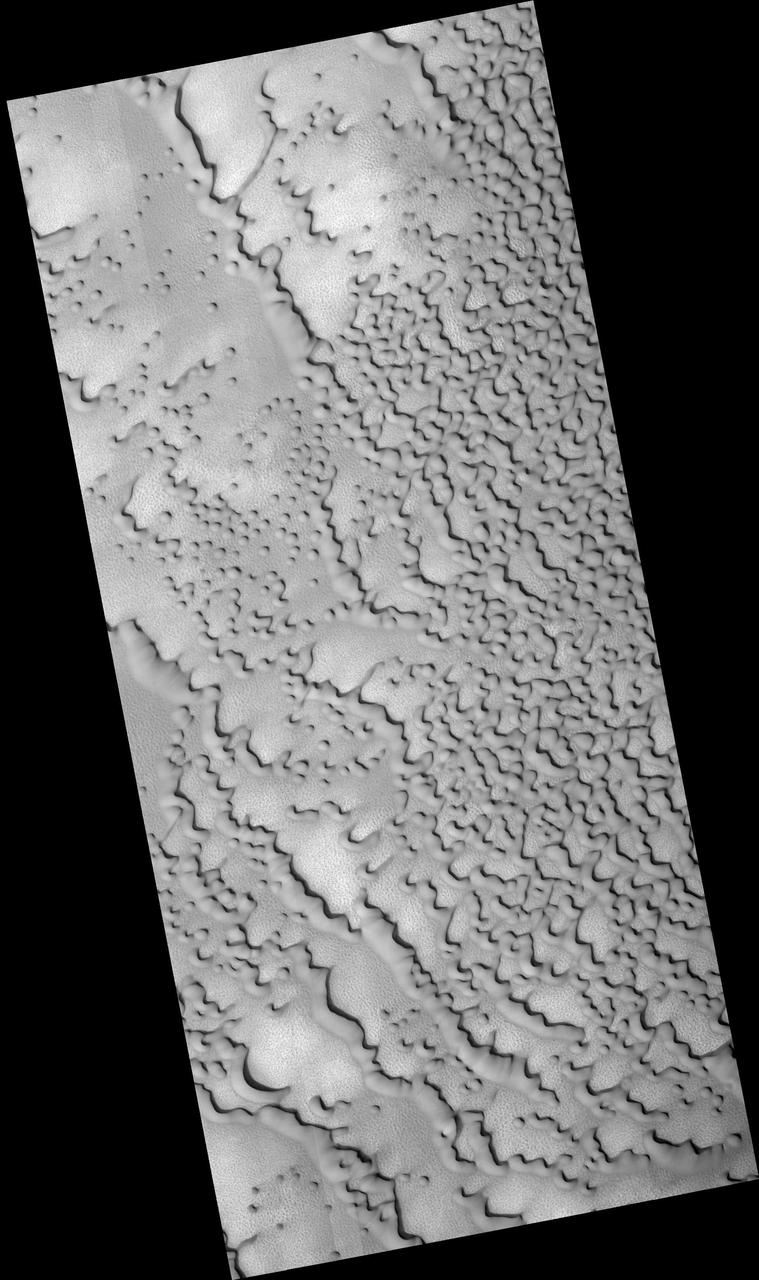 Frost-Covered Dunes in the North Polar Region