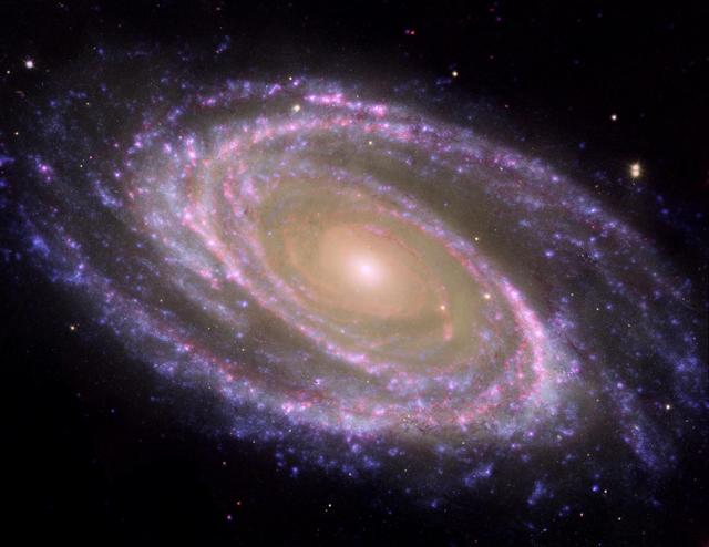 NASA image: M81 Galaxy is Pretty in Pink