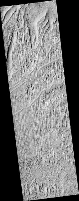 NASA image: Sinuous Ridges Near Aeolis Mensae
