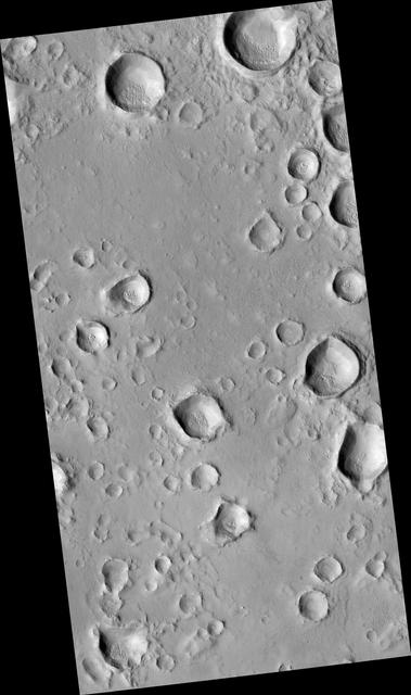 NASA image: A Field of Secondary Craters