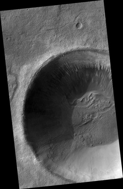 NASA image: Gullies and... Gullies? in Terra Sirenum