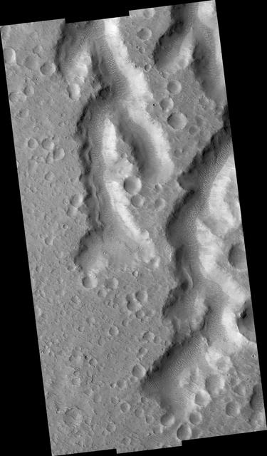 NASA image: Nanedi Vallis: Tributaries and Albedo Changes