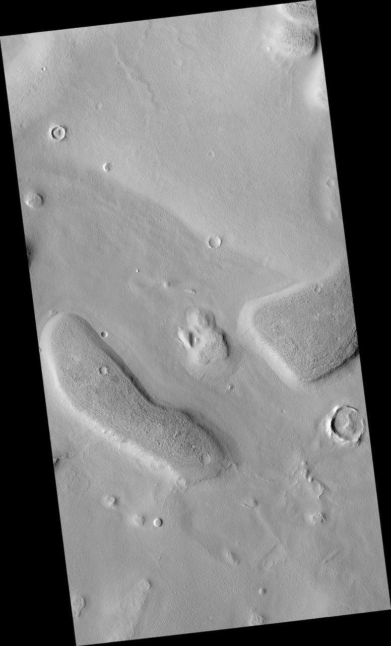 Unusual Structure on Crater Rim in West Utopia Planitia
