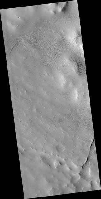 NASA image: Mantled Surface of Ascraeus Mons