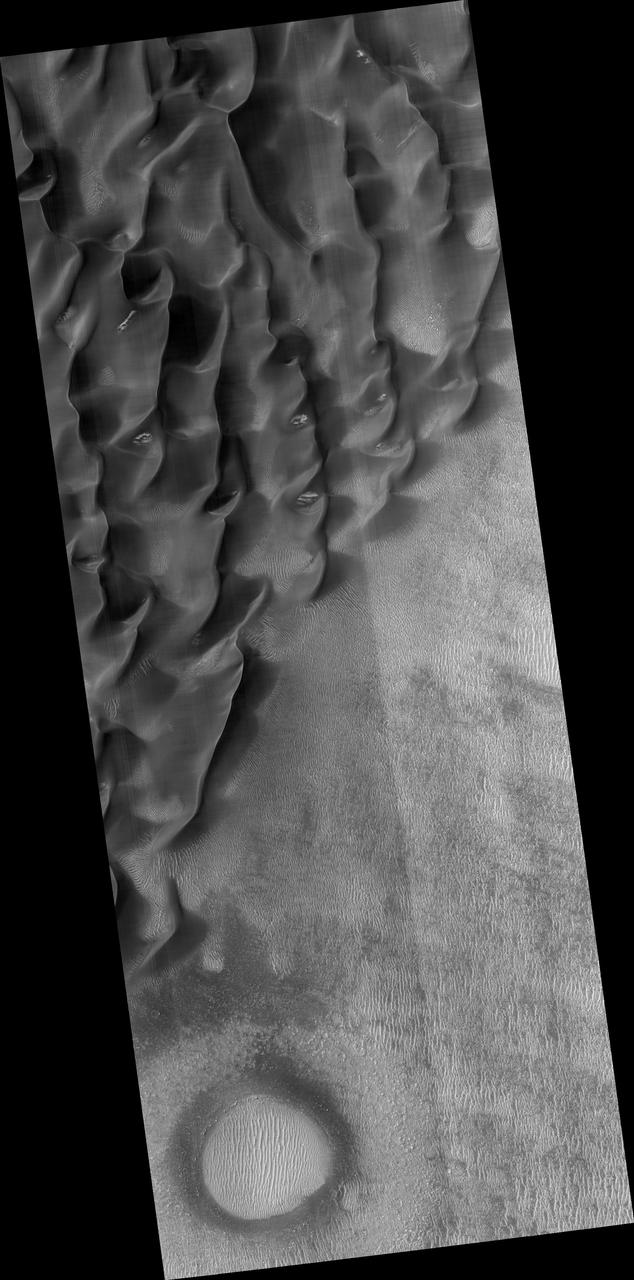 Proctor Crater Dune Field