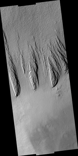 NASA image: Yardangs within a Large Crater
