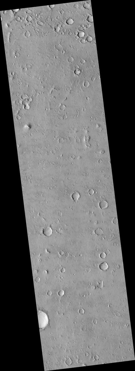 Joint Observation of the Isidis Basin with the Rosetta Mission