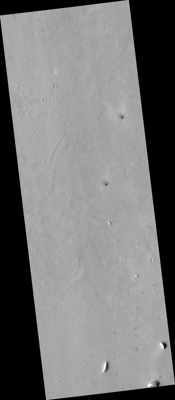 Proposed MSL Site in Elysium/Avernus Colles