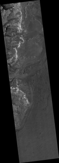 Proposed MSL Site in NE Syrtis Major