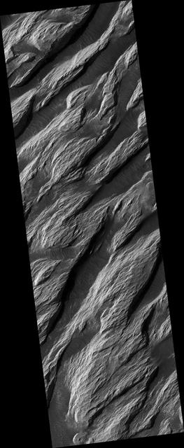 NASA image: White Rock Landform in Pollack Crater
